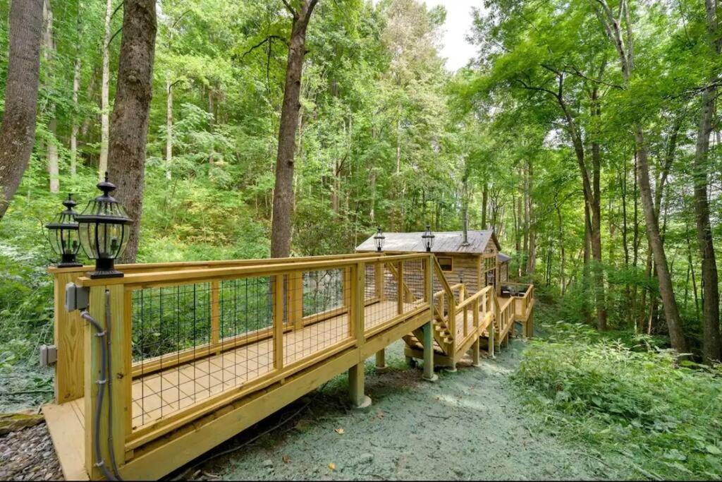 Outdoor Enthusiast'S Dream Cabin Hiking & Rafting Hot Springs Exterior photo